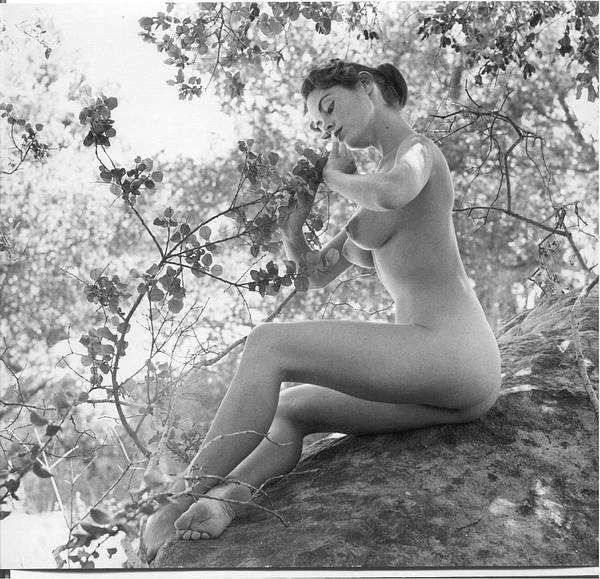 Simply nude and relaxed, a vintage image of a woman sitting on a rock, looking at a blossoming tree