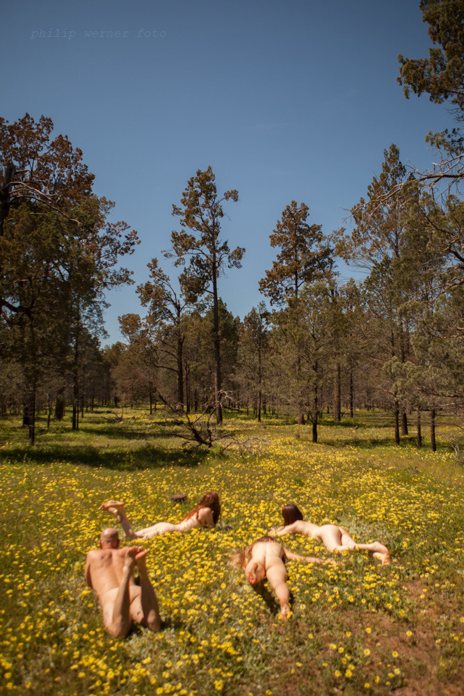 Sunday Nudists in the grass