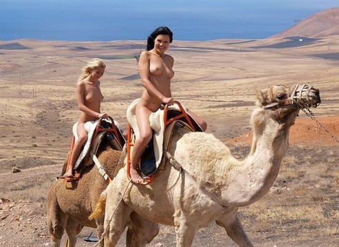 Nude camel ride