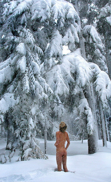 Nude person in the snow, looking up at trees