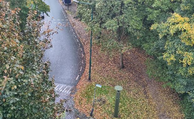 Autumn, leaves, wet streets