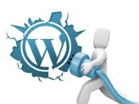 wordpress plugin